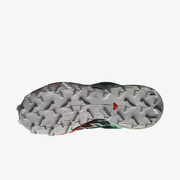 Salomon Pantofi Sport Speedcross 6 GTX 