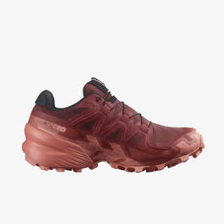 Salomon Pantofi Sport SPEEDCROSS 6 GTX W 