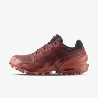Salomon Pantofi Sport SPEEDCROSS 6 GTX W 