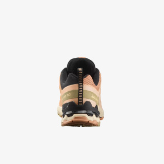 Salomon Pantofi Sport XA PRO 3D V9 W 