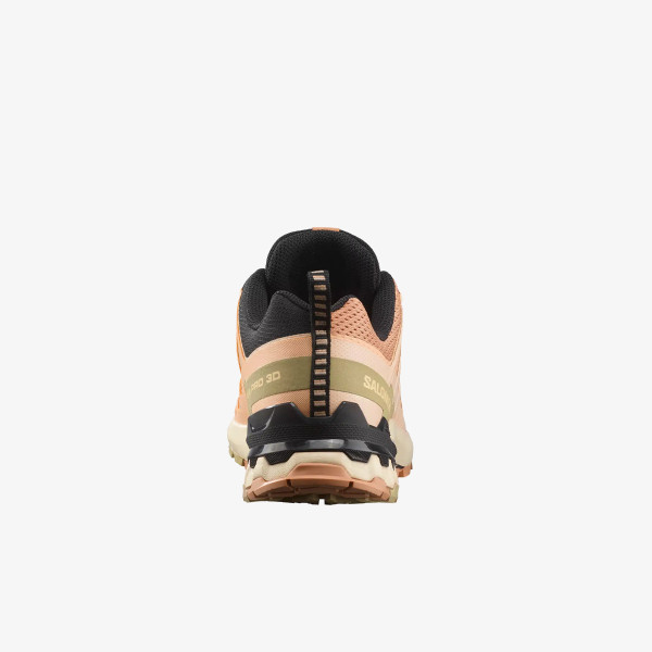 Salomon Pantofi Sport XA PRO 3D V9 W 