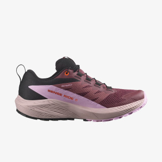 Salomon Pantofi Sport Sense Ride 5 GTX 