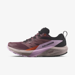 Salomon Pantofi Sport Sense Ride 5 GTX 