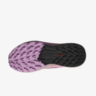 Salomon Pantofi Sport Sense Ride 5 GTX 