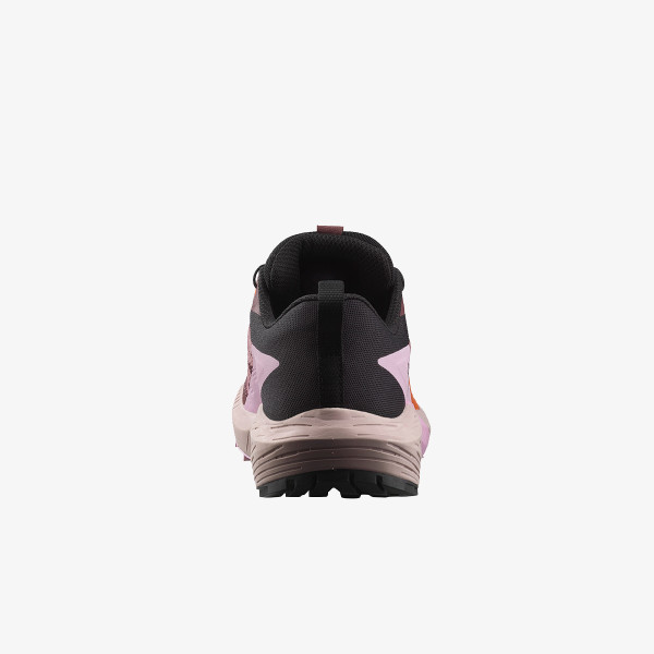 Salomon Pantofi Sport Sense Ride 5 GTX 