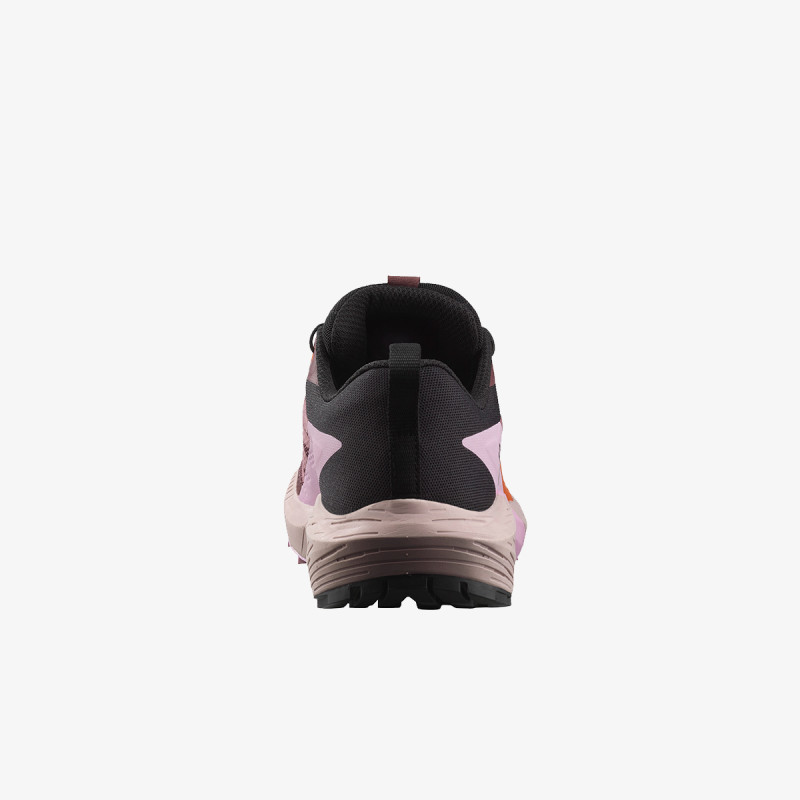 Salomon Pantofi Sport Sense Ride 5 GTX 
