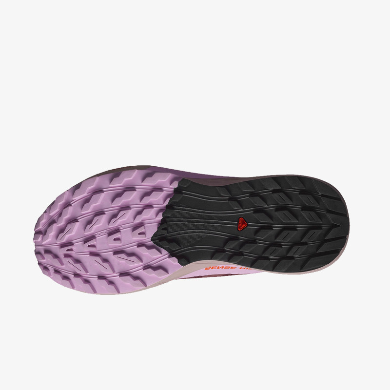Salomon Pantofi Sport Sense Ride 5 GTX 