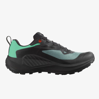 Salomon Pantofi Sport Genesis GTX 