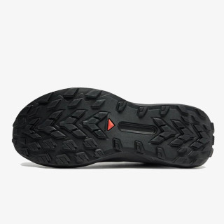 Salomon Pantofi Sport Genesis GTX 