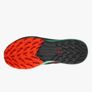 Salomon Pantofi Sport Sense Ride 5 