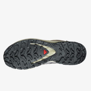 Salomon Pantofi Sport XA PRO 3D V9 GTX W 