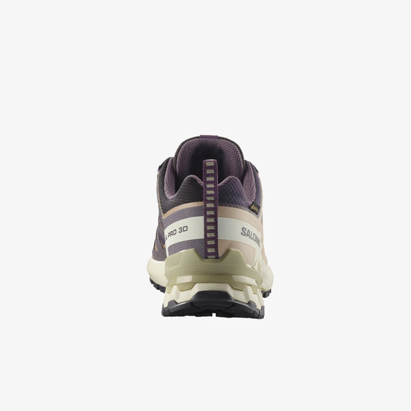 Salomon Pantofi Sport XA PRO 3D V9 GTX W 