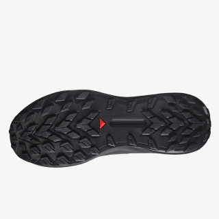 Salomon Pantofi Sport GENESIS 