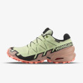 Salomon Pantofi Sport SPEEDCROSS 6 GTX W Li 