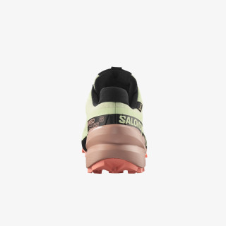Salomon Pantofi Sport SPEEDCROSS 6 GTX W Li 