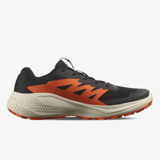 Salomon Pantofi Sport ALPHAGLIDE 