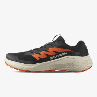 Salomon Pantofi Sport ALPHAGLIDE 