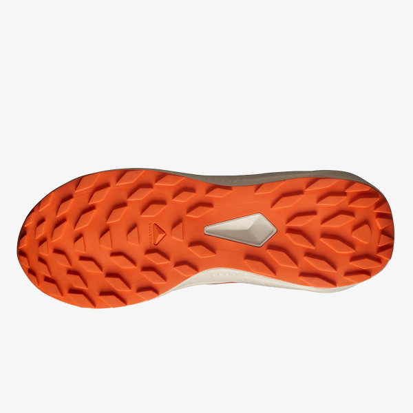 Salomon Pantofi Sport ALPHAGLIDE 