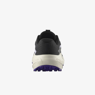 Salomon Pantofi Sport ALPHAGLIDE W 