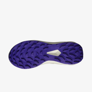 Salomon Pantofi Sport ALPHAGLIDE W 