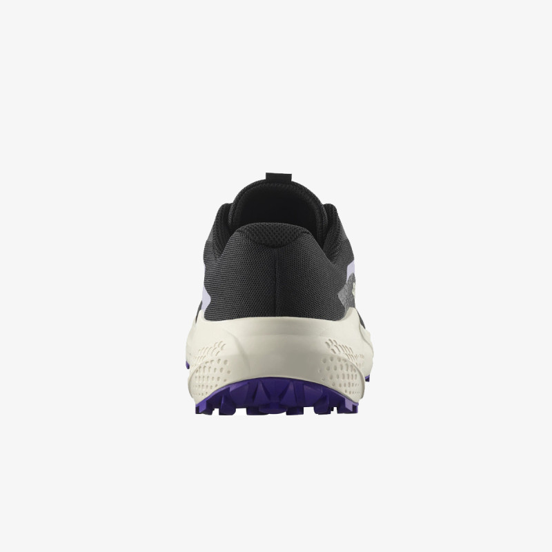 Salomon Pantofi Sport ALPHAGLIDE W 