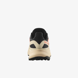 Salomon Pantofi Sport ULTRA FLOW W 