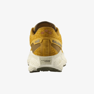 Salomon Pantofi Sport AERO GLIDE 3 GRVL 