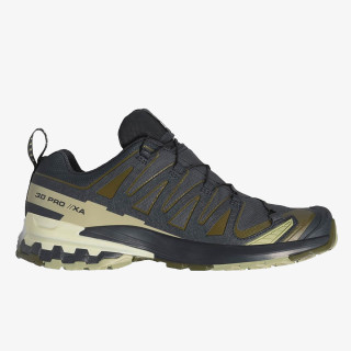 Salomon Pantofi Sport XA PRO 3D V9 GTX 
