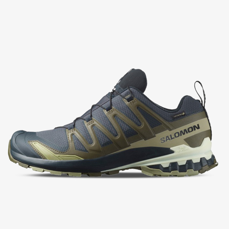 Salomon Pantofi Sport XA PRO 3D V9 GTX 