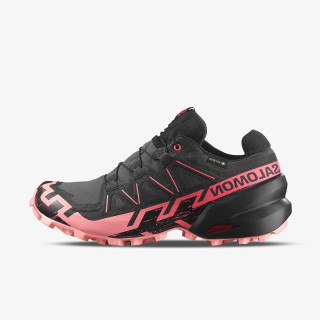 Salomon Pantofi Sport SPEEDCROSS 6 GTX W Ni 