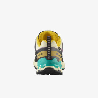 Salomon Pantofi Sport XA PRO 3D V9 GTX W Ty 