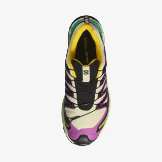 Salomon Pantofi Sport XA PRO 3D V9 GTX W Ty 