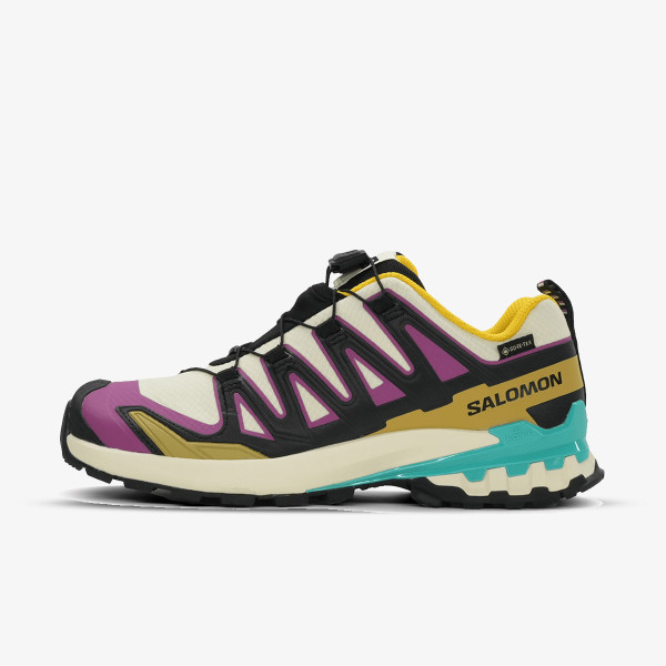 Salomon Pantofi Sport XA PRO 3D V9 GTX W Ty 
