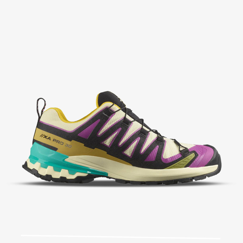Salomon Pantofi Sport XA PRO 3D V9 GTX W Ty 