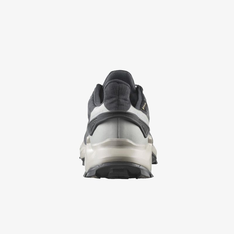 Salomon Pantofi Sport SUPERCROSS 4 GTX W Ni 