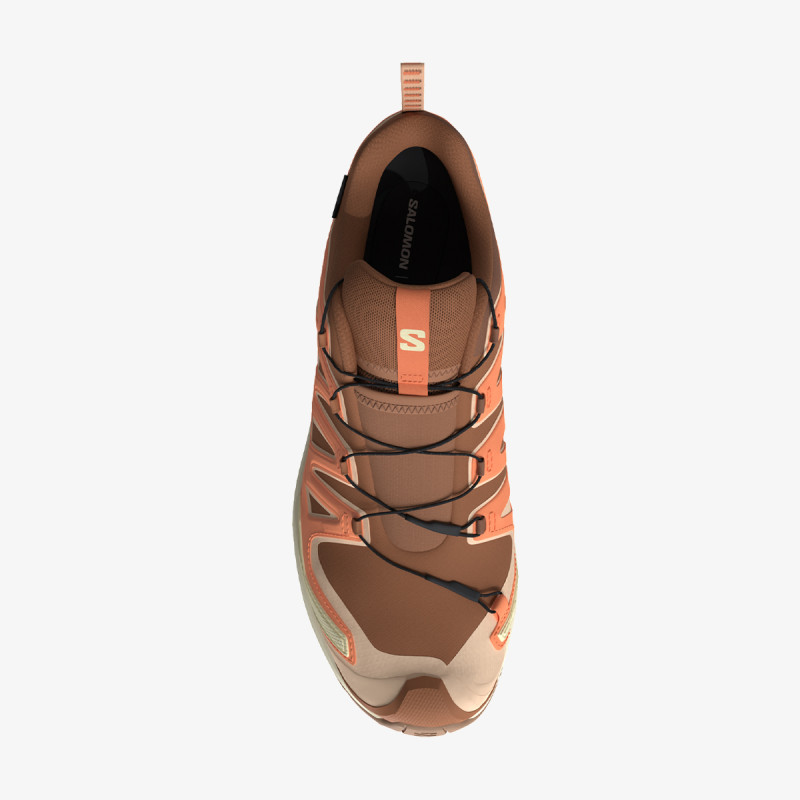 Salomon Pantofi Sport Xa Pro 3D V9 Gtx 