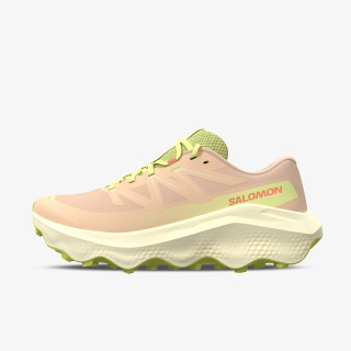 Salomon Pantofi Sport Ultra Flow 2 