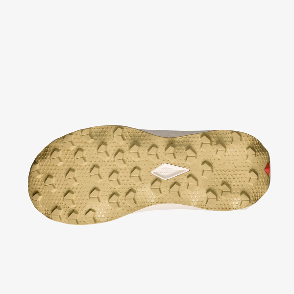 Salomon Pantofi Sport Ultra Flow 2 