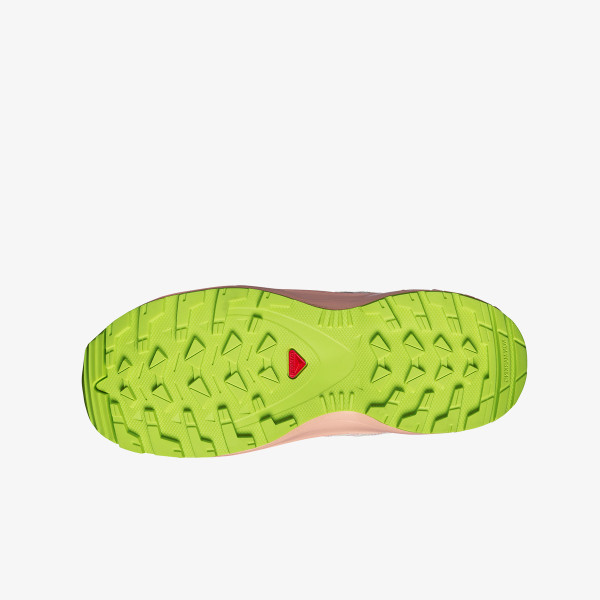 Salomon Pantofi Sport Xa Pro V8 