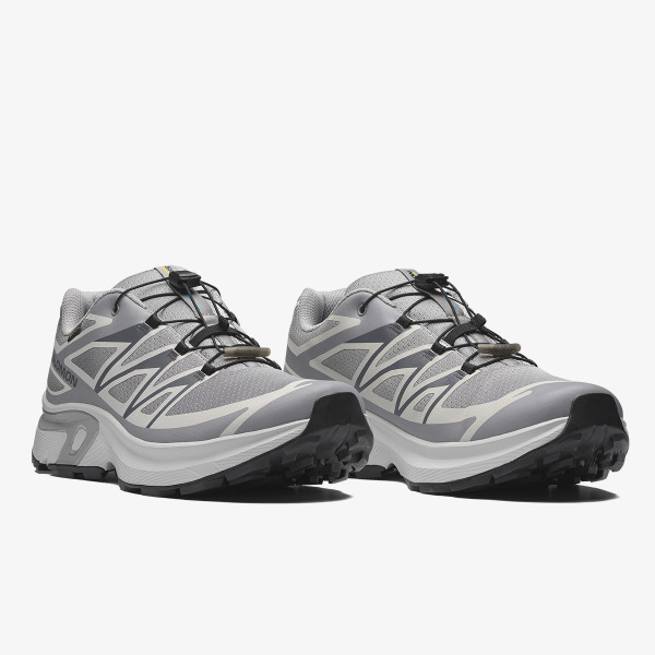 Salomon Pantofi Sport XT-EVR GTX M 