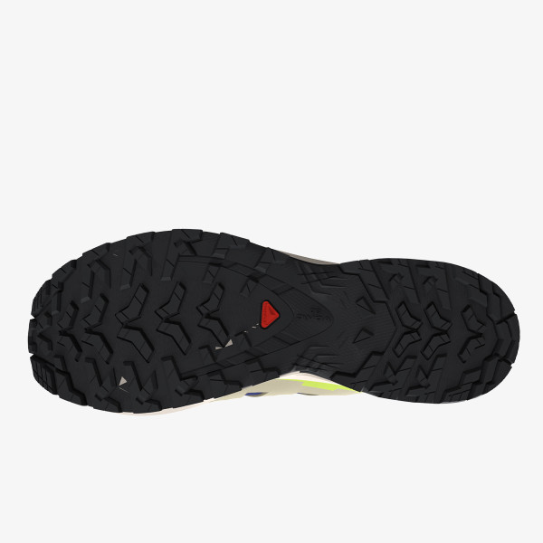 Salomon Pantofi Sport XA PRO 3D V9 