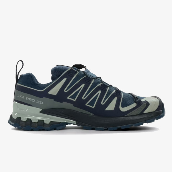 Salomon Pantofi Sport XA PRO 3D V9 GTX Spel 