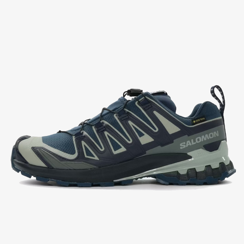 Salomon Pantofi Sport XA PRO 3D V9 GTX Spel 