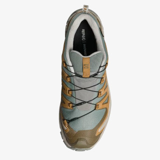 Salomon Pantofi Sport XA PRO 3D V9 GTX Sedo 