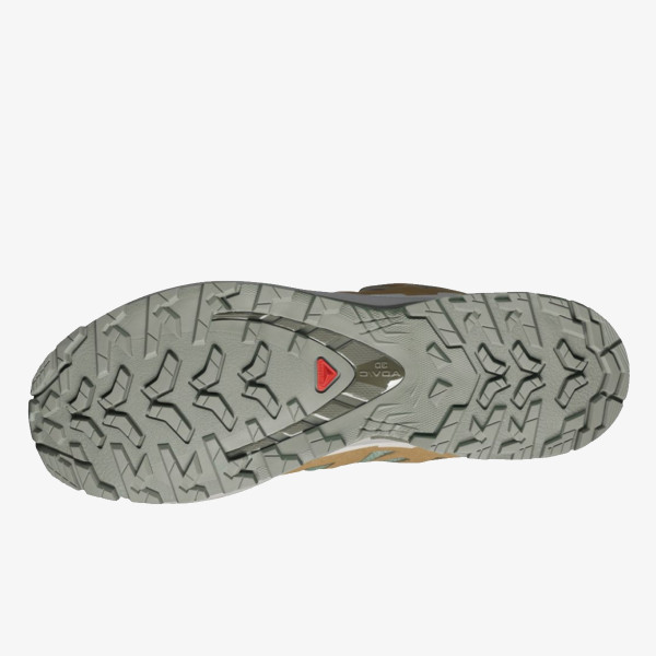 Salomon Pantofi Sport XA PRO 3D V9 GTX Sedo 