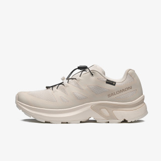 Salomon Pantofi Sport XT-EVR GTX W 