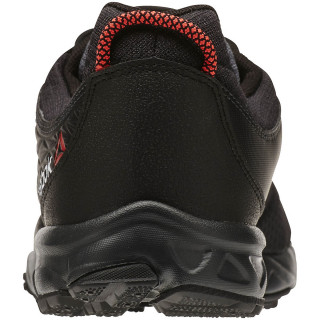 Reebok Pantofi Sport FRANCONIA RIDGE II GTX 