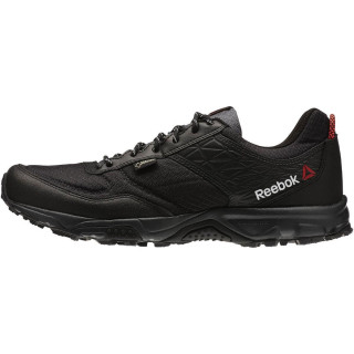 Reebok Pantofi Sport FRANCONIA RIDGE II GTX 