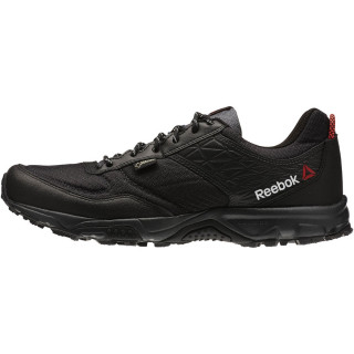 Reebok Pantofi Sport FRANCONIA RIDGE II GTX 