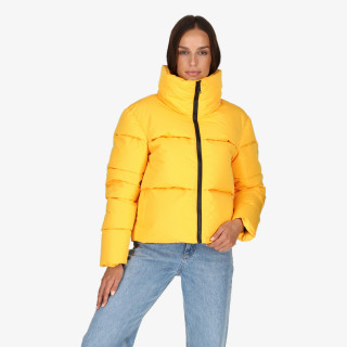 Mont Jacheta Anarchy